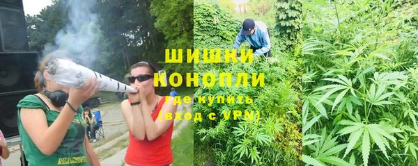 тгк Пестово