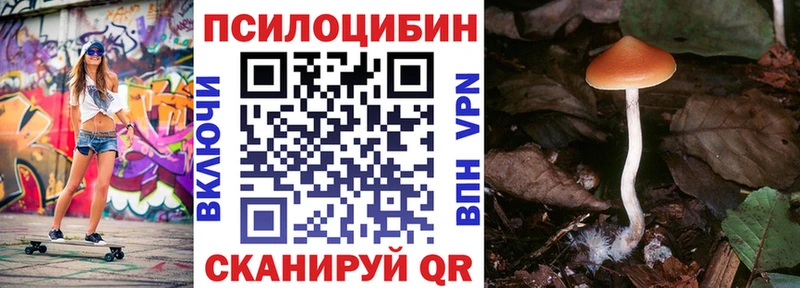 купить наркотики сайты  Онега  гидра зеркало  Псилоцибиновые грибы мухоморы 